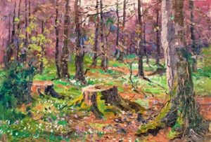 Buschwindroschen Im Darswald by Elisabeth Von Eicken