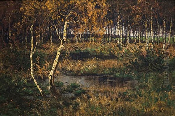 Herbstlicher Wald - view 1