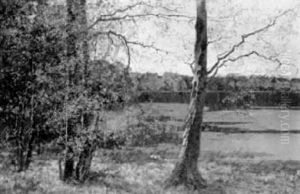 L'etang L'etang