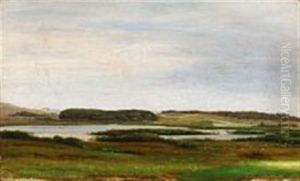 Landscape Near Faaborg
