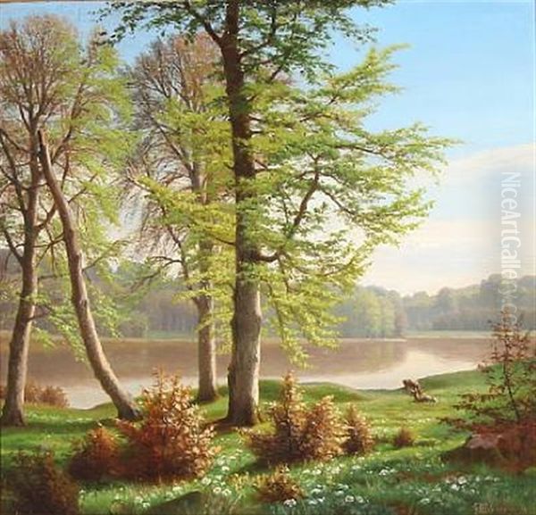 Deer At A Forest Lake - view 1
