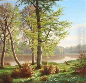 Deer At A Forest Lake