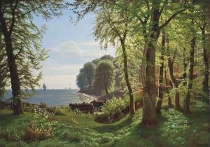 A Hidden Woodland Cove