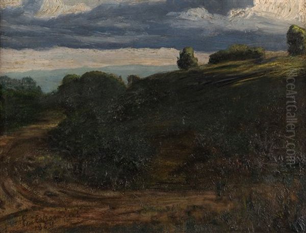 Summer Twilight - view 1