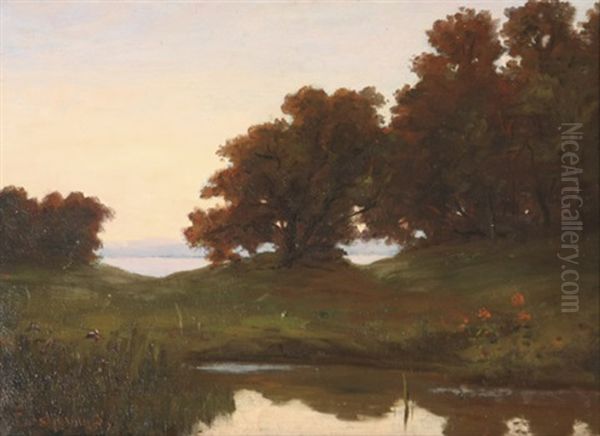 River Landscape - view 1