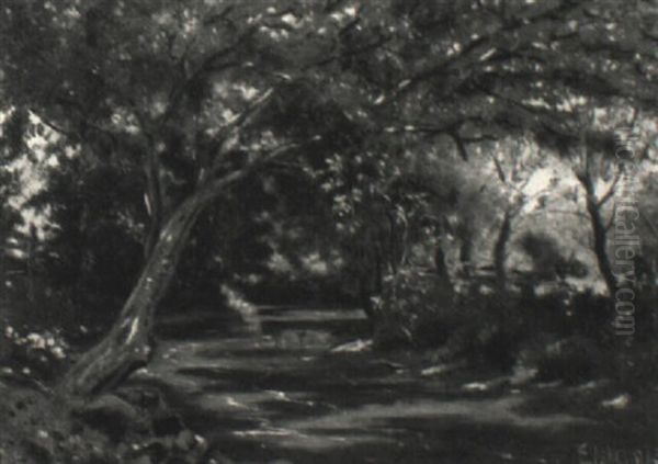 Wooded Landscape - view 1