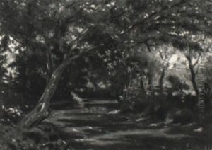Wooded Landscape Wooded Landscape
