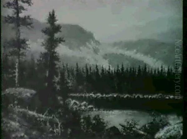 Mountain Lake - view 1