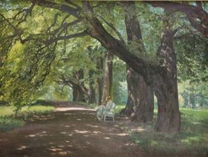 Lesende Unter Alten Linden by Wilhelm Eisenblaetter