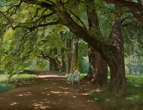 Shady Lime-tree Alley - view 1