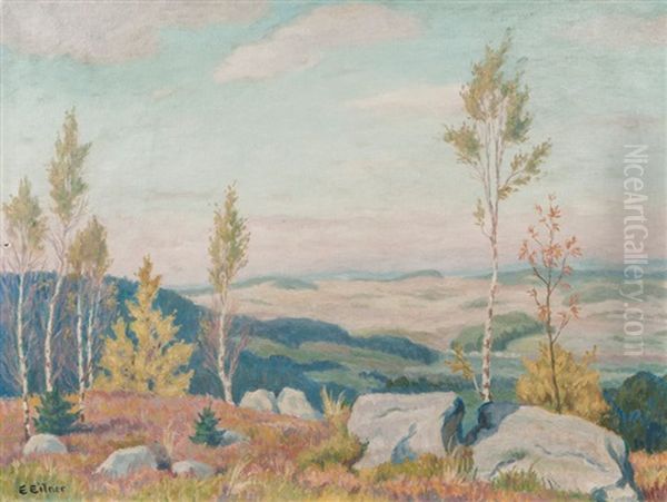 Birch Trees In A Low Mountain Landscape - view 1