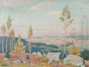 Birch Trees In A Low Mountain Landscape