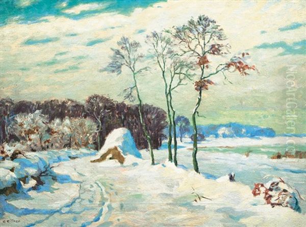 Sunny Winter Day - view 1