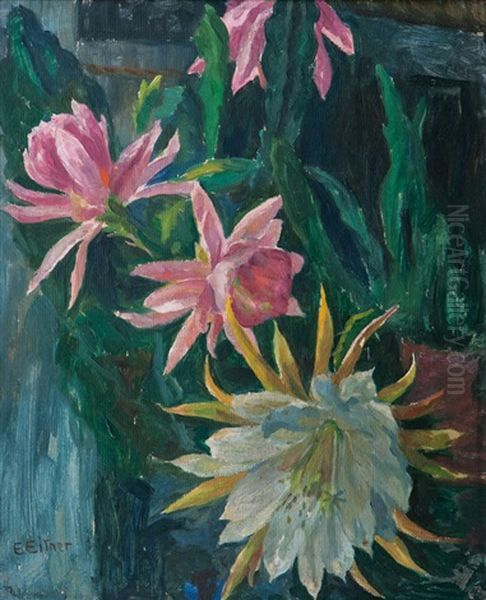 Cactus Flowers - view 1