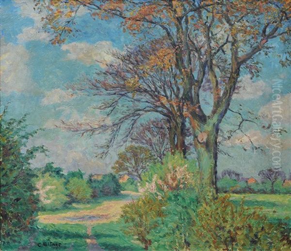 Early Spring - view 1
