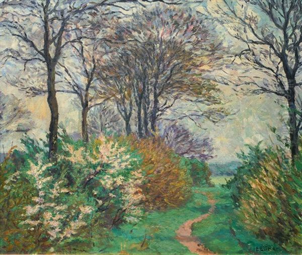 Forest Path In Early Spring - view 1