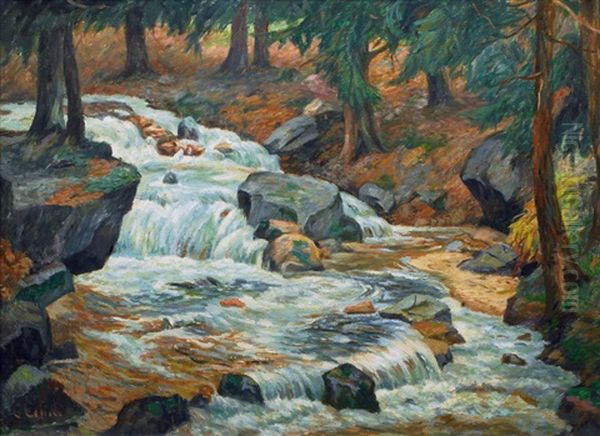 The Bode Cascade In The Harz - view 1