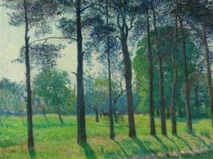 Allee An Einer Wiese Allee An Einer Wiese