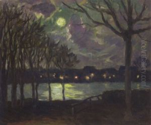 Blick Auf Die Nachtliche Alster