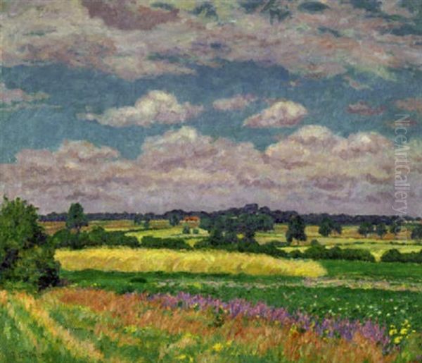 Norddeutsche Sommerlandschaft - view 1