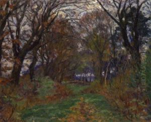 Waldweg Im Herbst Waldweg Im Herbst