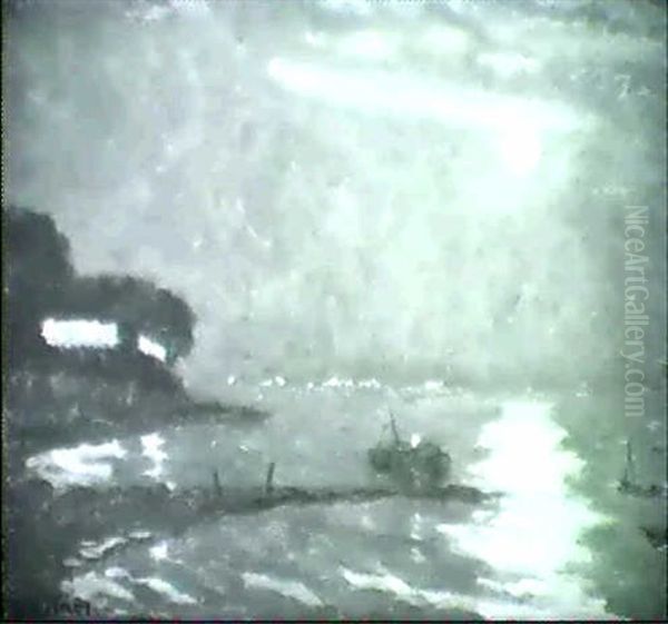 Blankeneser Elbstrand Bei Mondlicht - view 1