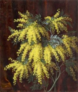 Mimozy by Stanislaw Ejsmond