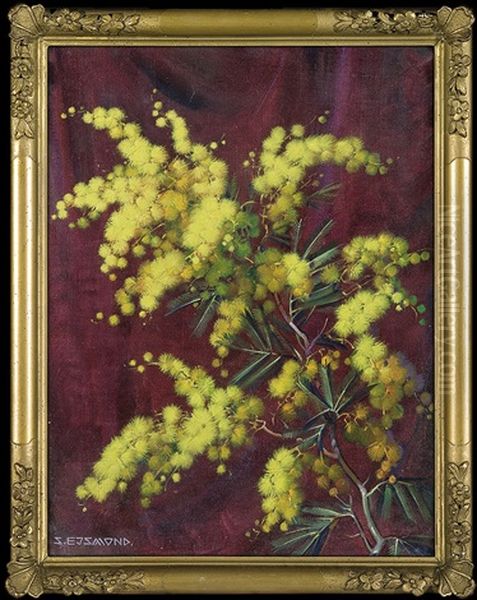 Mimosa Twig - view 1