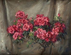 Azalie by Stanislaw Ejsmond
