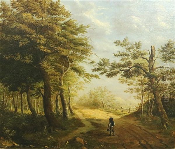 Wandelaar Op Landweg - view 1