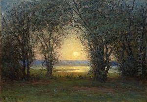 Insjolandskap Med Trad I Solnedgang by Per Ekstroem