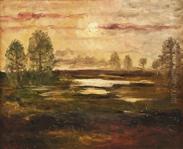 Soldisigt Landskap - view 1