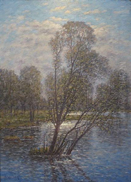 Oversvammat Varlandskap - view 1