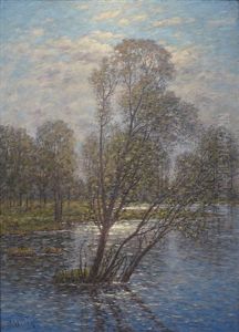 Oversvammat Varlandskap by Per Ekstroem