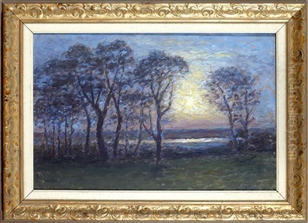 Solnedgang - view 1