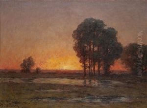 Solnedgang Over Oland by Per Ekstroem