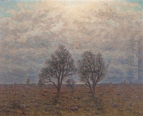 Solnedgang - view 1