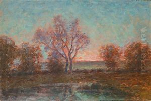 Olandsk Solnedgang