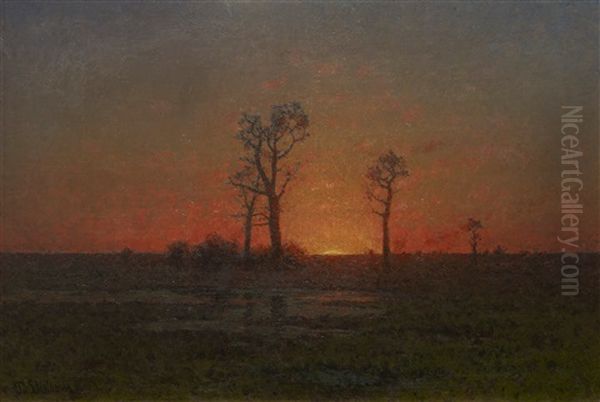 Solnedgang Over Oland - view 1