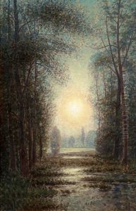 Landskap I Solnedgang by Per Ekstroem