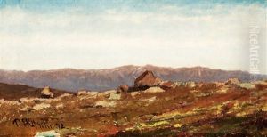 Gaustafjell, Norge by Per Ekstroem