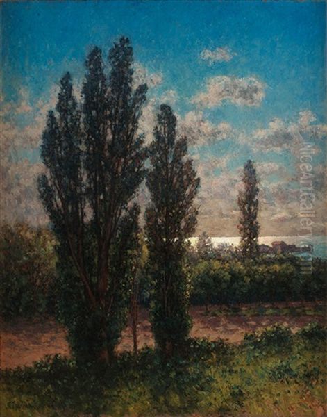 Solglitter Over Havet, Oland - view 1