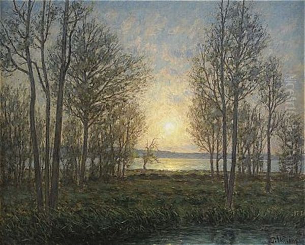 Solens Stralar Genom Traden - Oland - view 1
