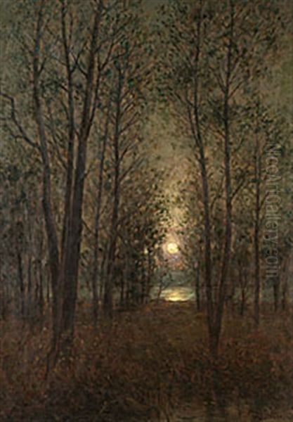 Mansken - view 1