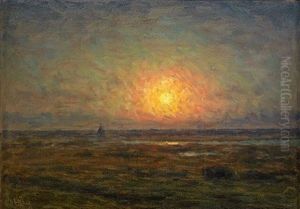 Soldis Over Olandskt Landskap