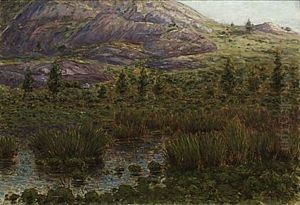 Sjolandskap Sjolandskap
