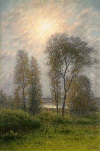Olandskt Landskap I Soldis by Per Ekstroem