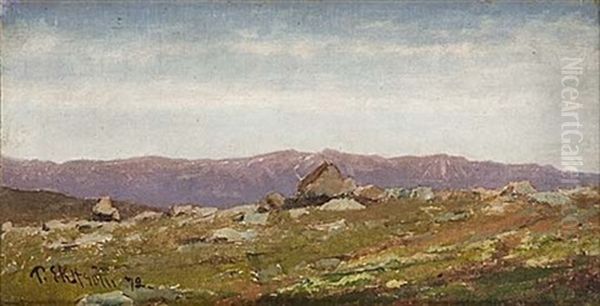 Bergslandskap - view 1