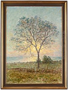 Solbelyst Trad by Per Ekstroem