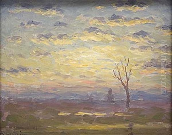 Solnedgang - view 1